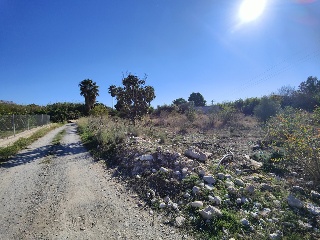 PARAJE HUERTA MOLINO O MORRO LES CANALS