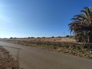 POU IBAÑEZ POLIG 7 PARCELA 439