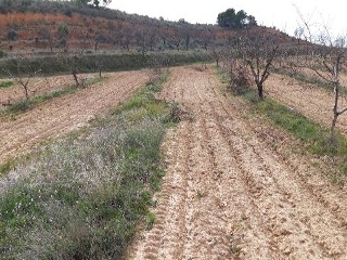 PARAJE LOS CHARQUILLOS