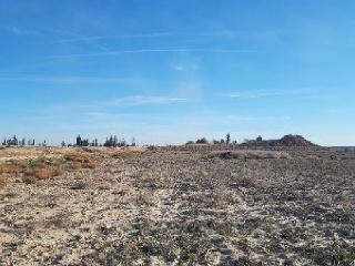 PARTIDO DE BENIAJAN, SITIO DEL CAÑAREJO, LA CUEVA