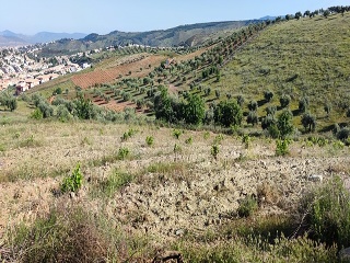 PAGO DE LA PIEDRA DE LOS CUARTILLOS