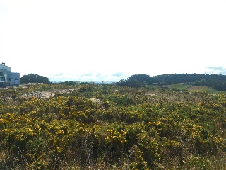 TARREO DAS CRUCES, DO CORVO