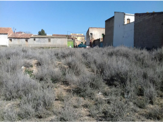 CAMINO DE CABAÑAS O LA CUESTA, PARCELA