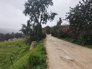 SITIO EL PALMAR, COSTADO DE LA ASOMADILLA