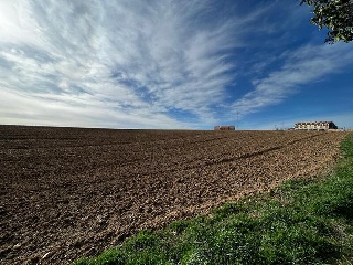 PARAJE EL SEXTIL PARCELA C-1