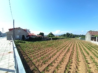 AV CAMBADOS (DE),24 Meis (Pontevedra)