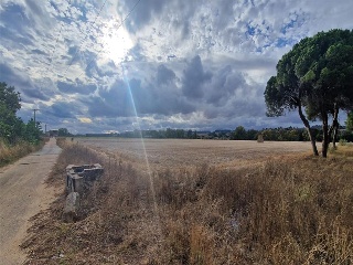 DUERO BAJO