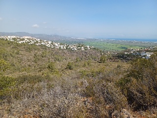 COSTERA NEGRA;PARCELA 173