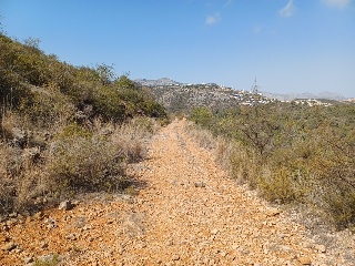 COSTERA NEGRA;PARCELA 185-B