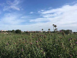 Suelos Urbanizables situados en Jerez de la Frontera