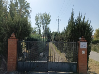 Dehesa Los Pinos