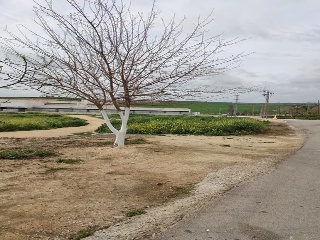 CAMINO DE LOS MOLINOS