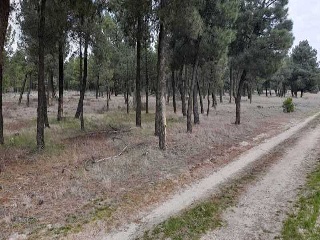 PARAJE BILBAO, TRUEBA Y SENOVILLA