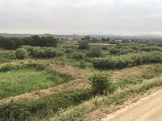 Suelo urbanizable sectorizado en Fontellas