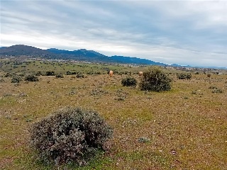 PARAJE CRUZ DEL CERRO