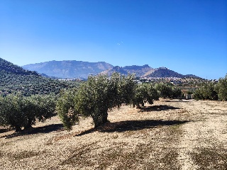 Suelo rústico en Jaén