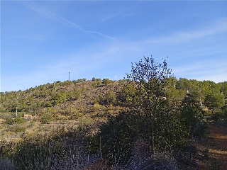 PARAJE CANALES O PILA BASETA POLIGONO 4