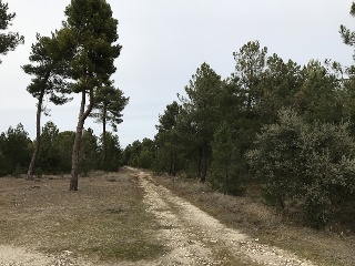 Pociaguillo Y Gargan O Carrizales