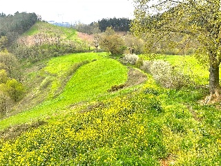 DISEMINADO - CASERIO ZELAUNDI