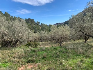 Lugar Partida Negrola