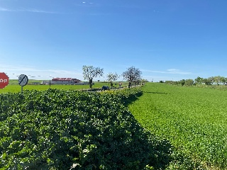 PICACHO,LEBRERA,ESTACADA