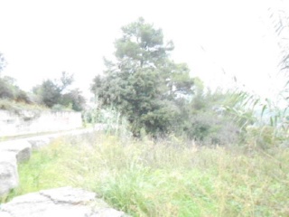 Suelo en Rieral de bigues (Barcelona)