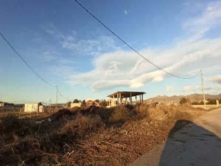Vivienda en Dip. Campillo Vivienda en Dip. Campillo