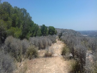 Suelo urbano en C/ Manuel Siurut, Torrent (Valencia)