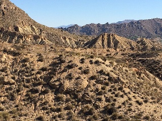 Suelo rústico en Paraje la Cuesta Alta, Ricote (Murcia)