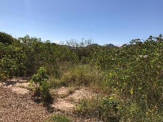 Vivienda en construcción en Lg Los Nietos Viejos, Cartagena (Murcia)