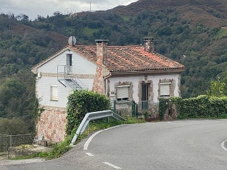Suares