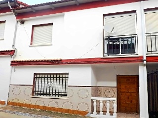 Olivo Olivo