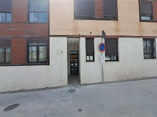 Pardo Pardo