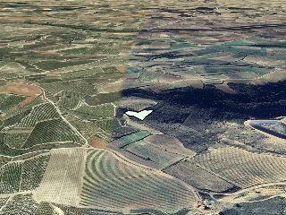 Suelos rústicos en C/ Polígono 8 Parcela 104 y 165 Nº 8 