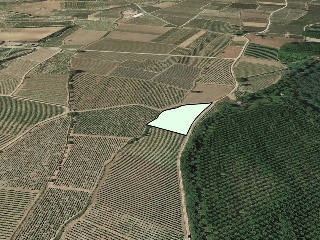 Suelo rústico en C/ Polígono 12 Parcela 34, San Asensio (La Rioja