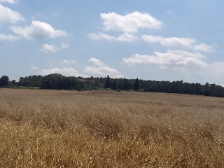Terrenos con edificación en Lg/ Caserío Mas Ferrer Pages Escala, Saus (Girona)