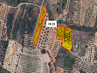 Suelo en Pt Ptdos. Escaleta y Ortetes, Pinet (Valencia)