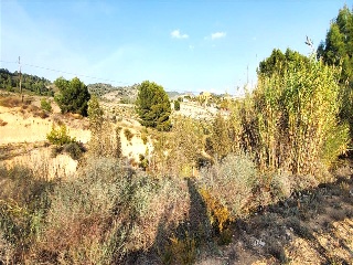 Monteral