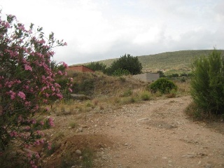 Urbanizacion Balcon De Macastre