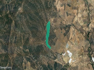 Paraje Las Hoyas Poligono 44