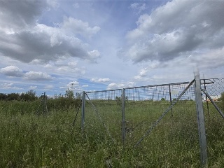 El Juanete; Pol. 4-5; Parcela 220