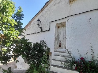 Calle Diseminados