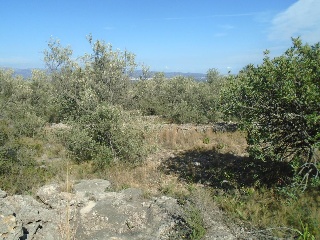 Vall D'En Pasto