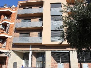 Cami Reial