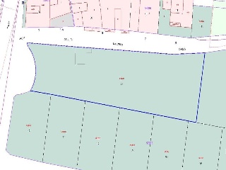 Agustin Millares Carlo