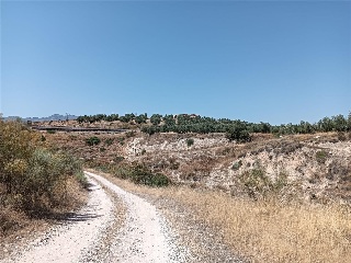 Cortijo Los Tomillares