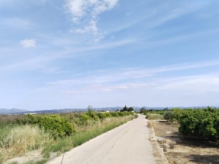 Teularet (Poligono 1 - Parcela 83). Realengo