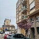 46889117_363f1973bb492c74c43d152a2d231a93a3cfa739