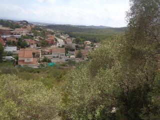 Jacint