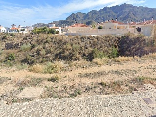 Rosaleda